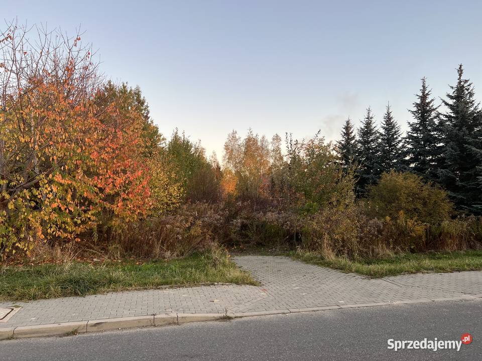Sprzedam działkę Ciecierzyn