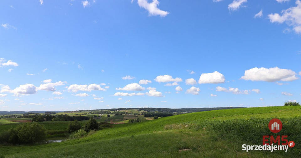sprzedaży gruntu 4800m2 Olszanka Sprzedaż podlaskie