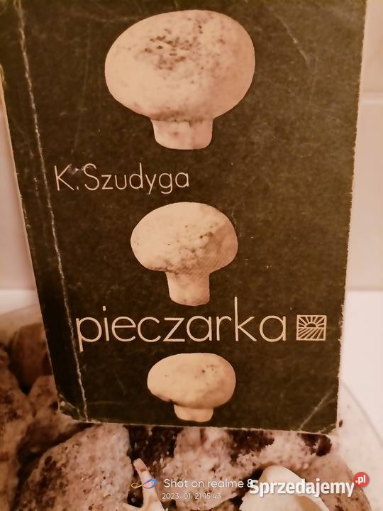 Pieczarka książki Szudyga księgarnia internetowa mazowieckie Warszawa