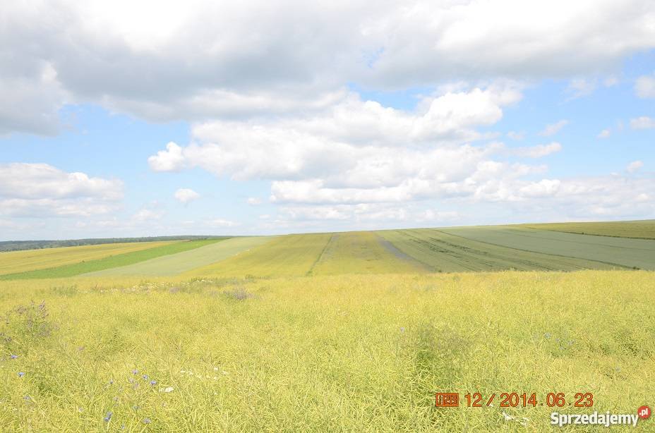 działka Liśnik Duży SPRZEDAM 13 ha eternit sprzedam