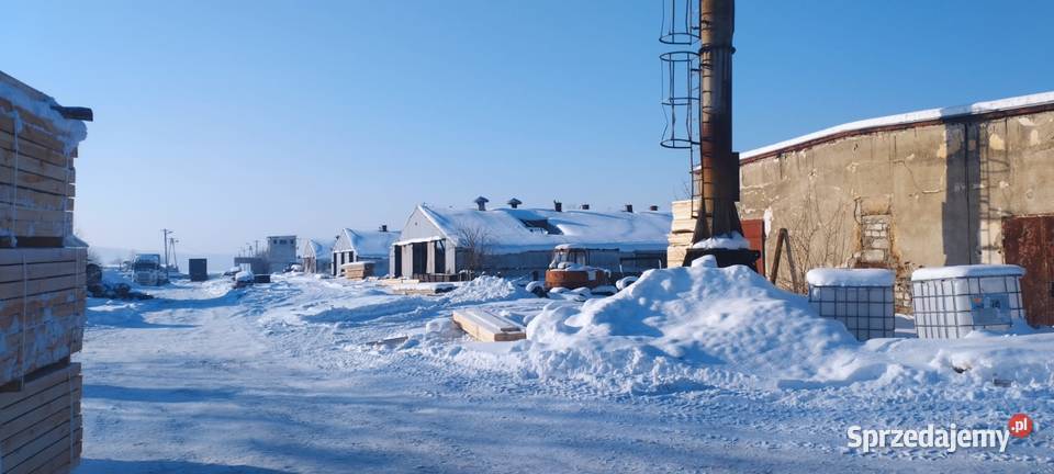 Sprzedam 220ha ziemi ze starą bazą dawnego PGR Wągródka