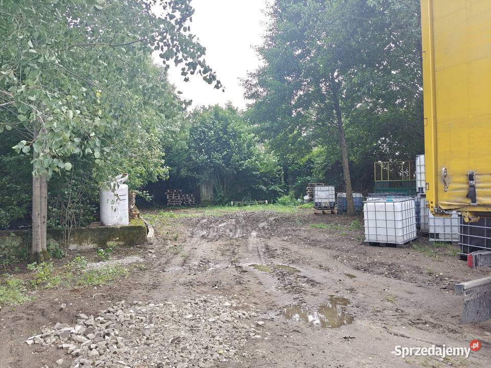 Syndyk sprzeda Stegna mazowieckie