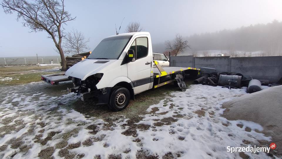 Mercedes Sprinter Laweta dolnośląskie Trójca