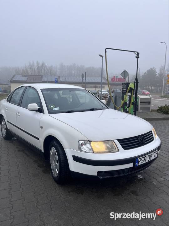 Passata b5 Passat Dominowo