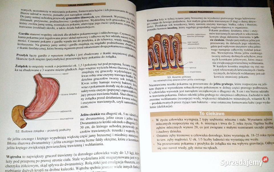 Biologia Anatomia i fizjologia człowieka kl 13 Chełm
