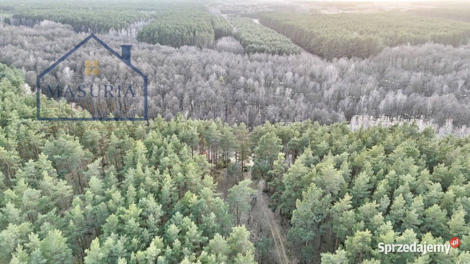 Działka w lesie polana Łapinóż