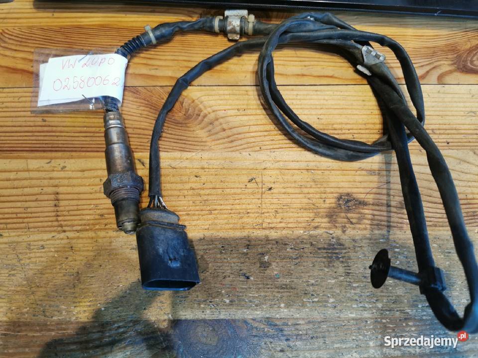 POLO LUPO SONDA LAMBDA 0258006219220 osobowe wielkopolskie Margonin