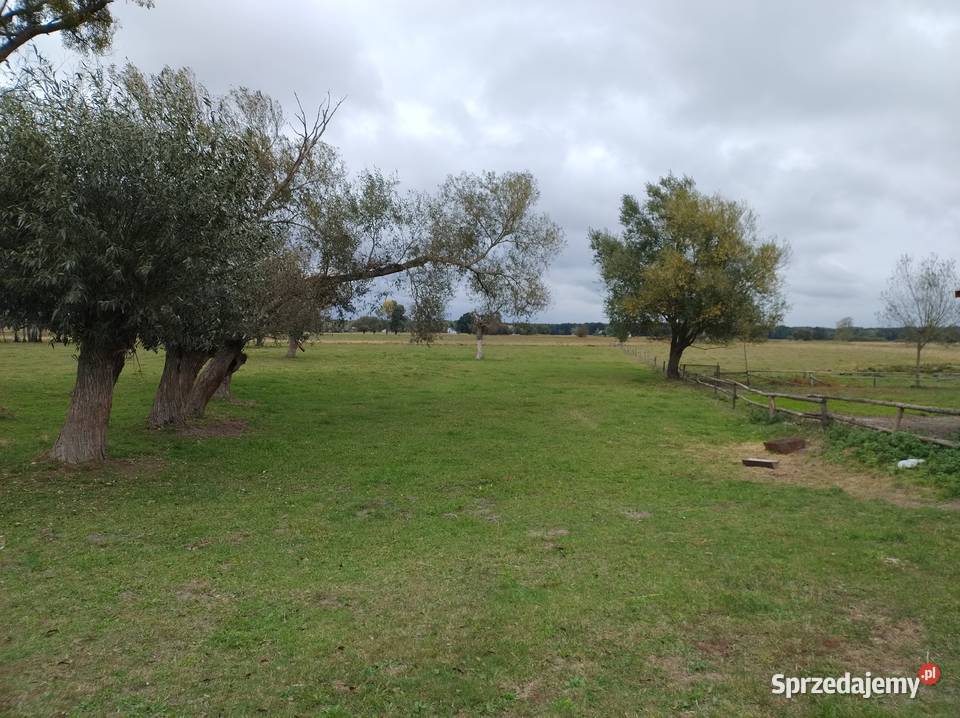 Sprzedam działkę rolną z możliwością zabudowy na 322m Strych