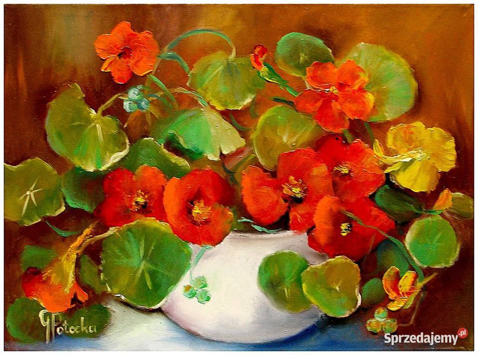 Nasturcje obraz olejny 4030 dostępny sprzedam