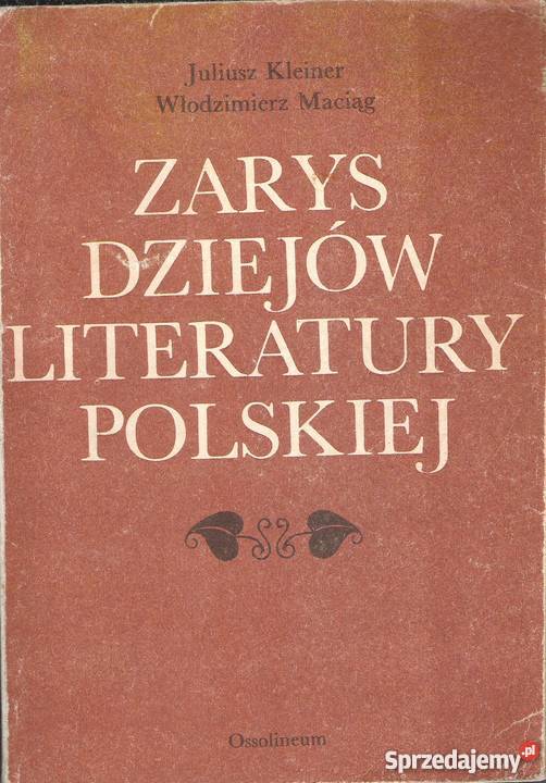 Zarys Dziejów Literatury Polskiej Praca zbiorowa Puławy sprzedam