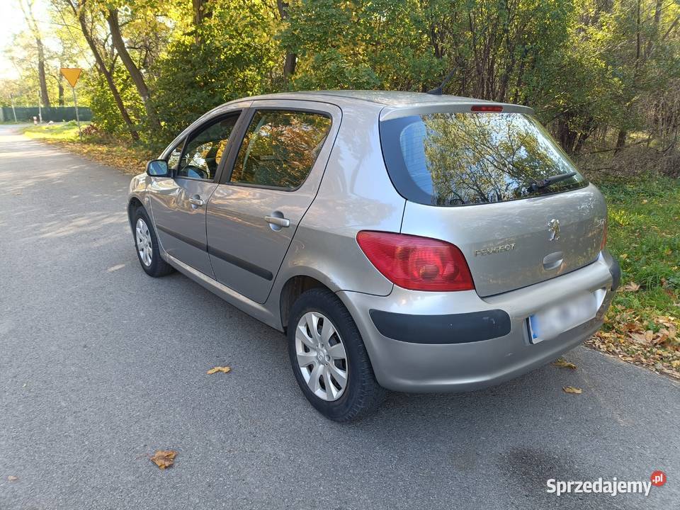 Peugeot 307-1.6 benzyna - 132tys.przebieg