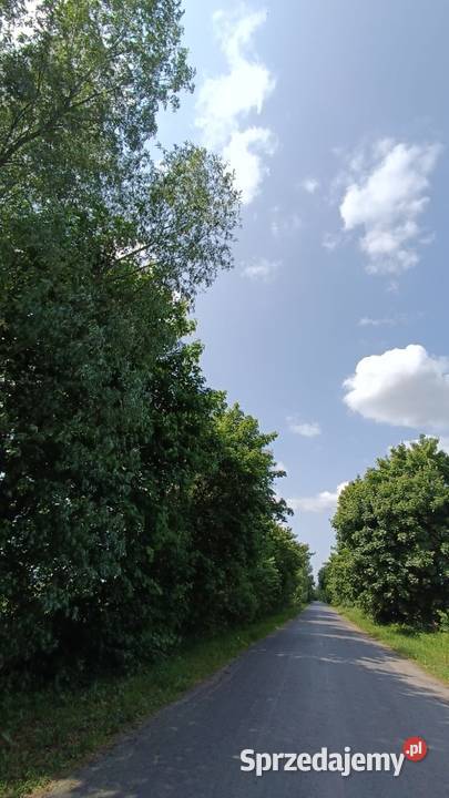 Groszkowo I Mierzeja Wiślana I działka pod