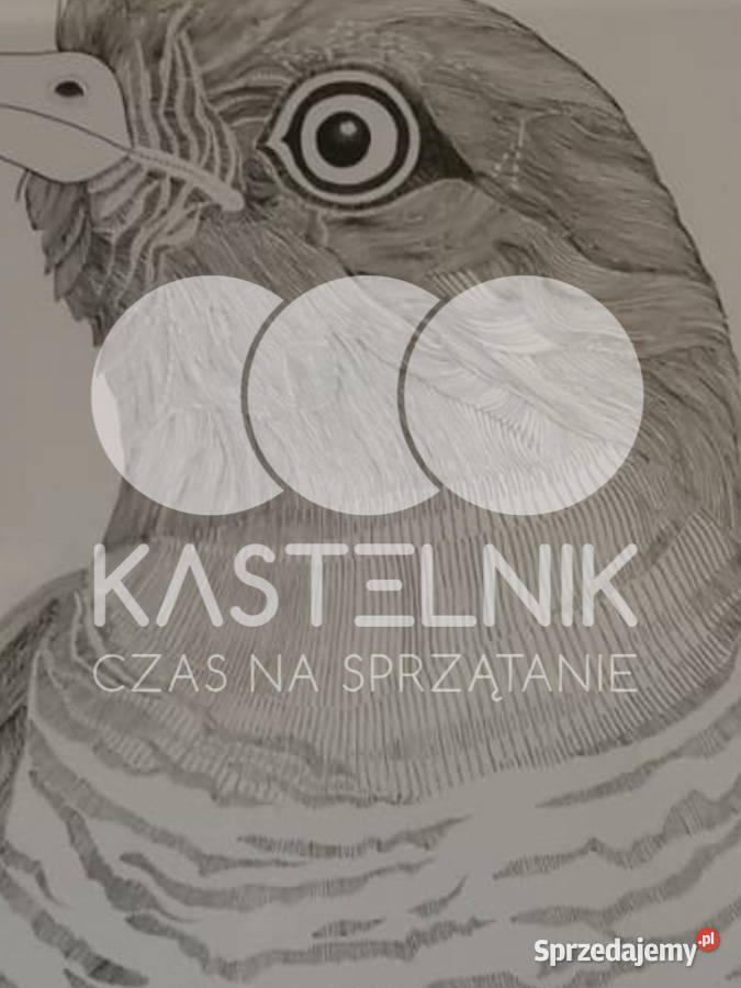 Sprzątanie gołębiach Bełchatów Kastelnik mycie