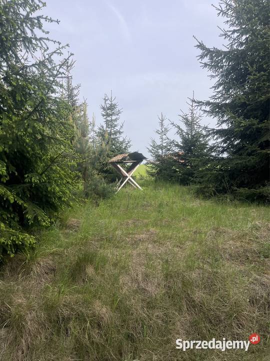 Siedlisko Gospodarstwo rolne Bazanów Stary Moszczanka