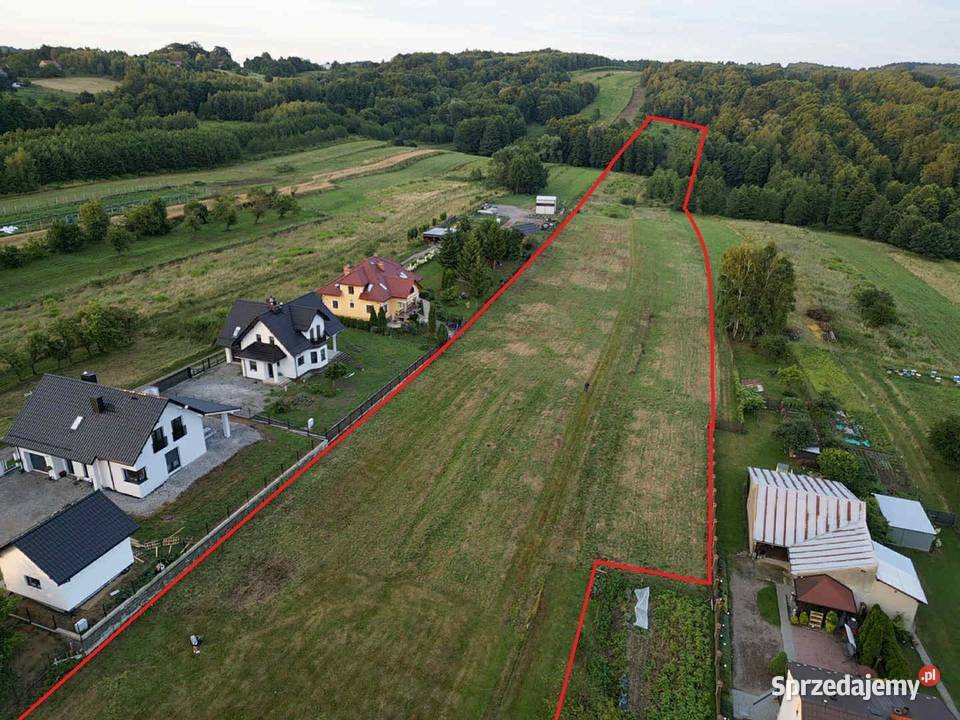 Działka Uszew Gm Gnojnik 226ha