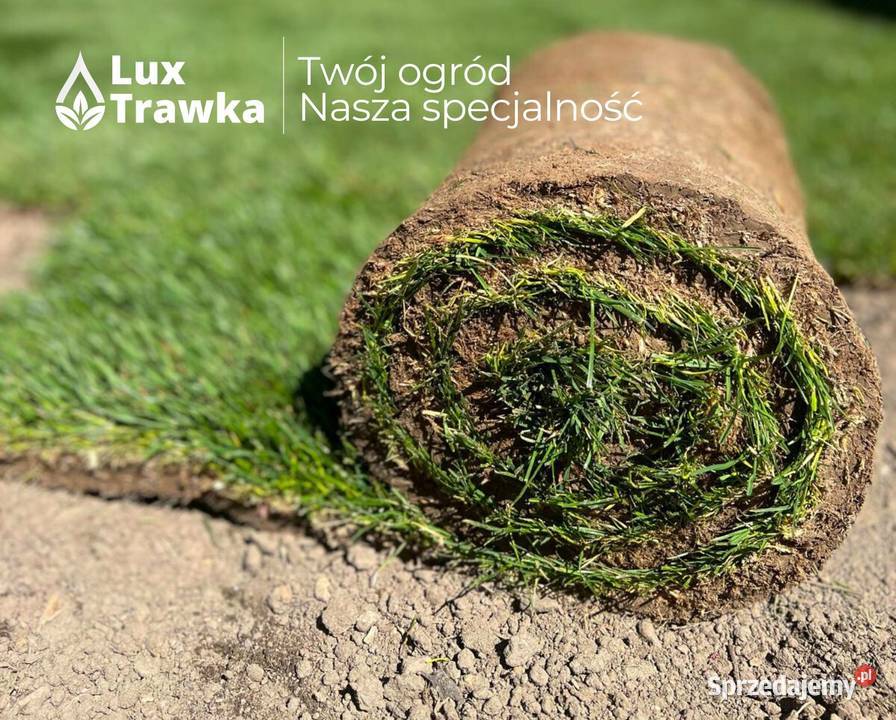 Trawa w rolce Trawa z rolki Dostawa na terenie małopolskie Zakopane sprzedam