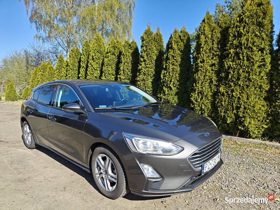 Ford Focus Mk4 10 EcoBoost Trend Edition Samochody osobowe