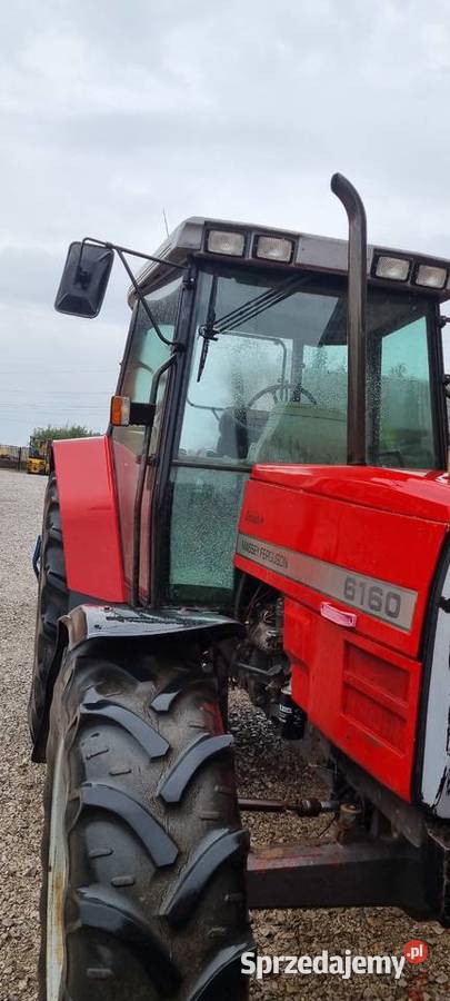 Sprzedam massey ferguson Massey Ferguson