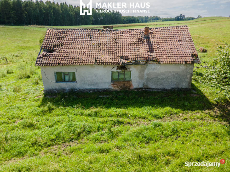 Siedlisko 4 ha ze stawem Puszcza Borecka Mazury dachówka Zawady