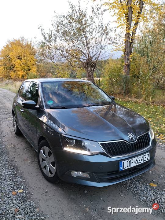 Skoda Fabia 10 TSI Opole Lubelskie
