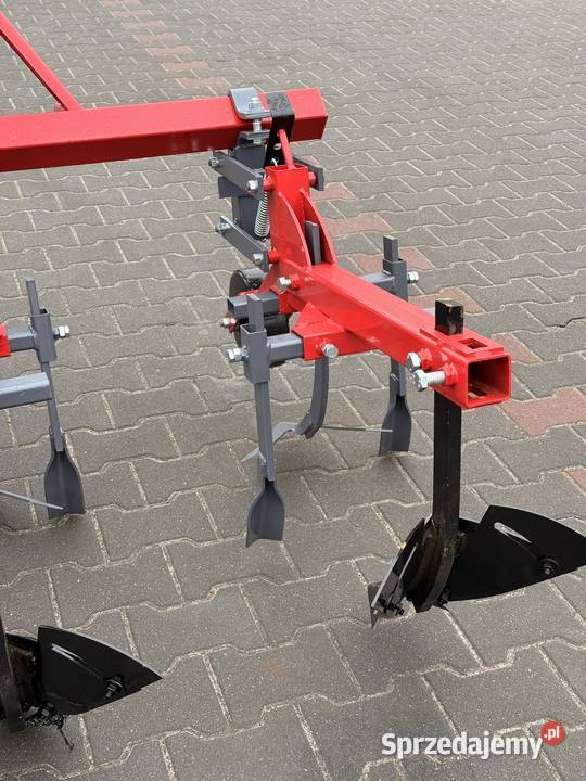 Pielnikoobsypnik podkarpackie