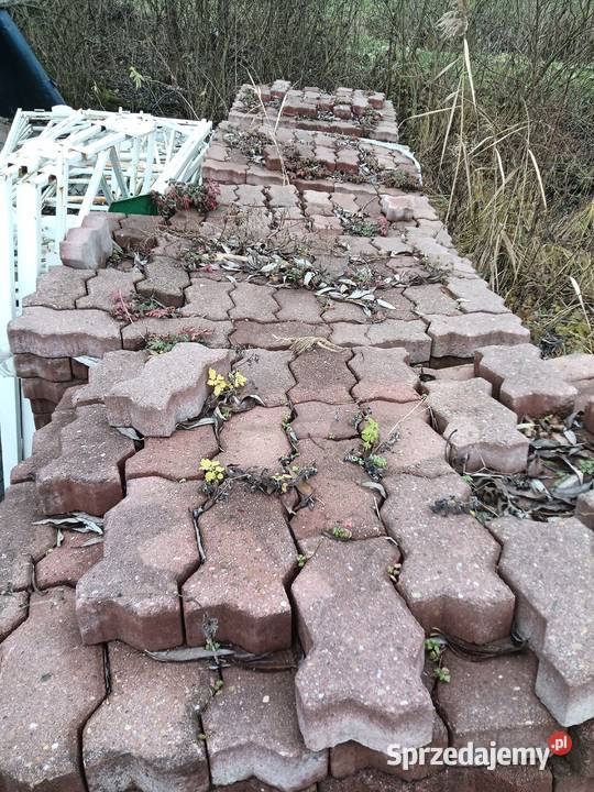 Kostka brukowa Opole Lubelskie