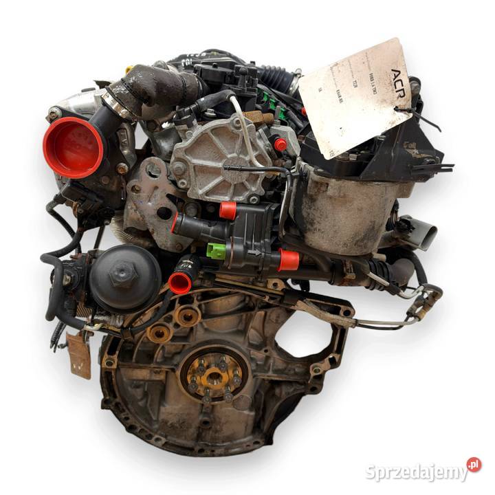 SILNIK TZJB Ford Fiesta VI VII MK7 16 TDCI 95 lubelskie Chełm