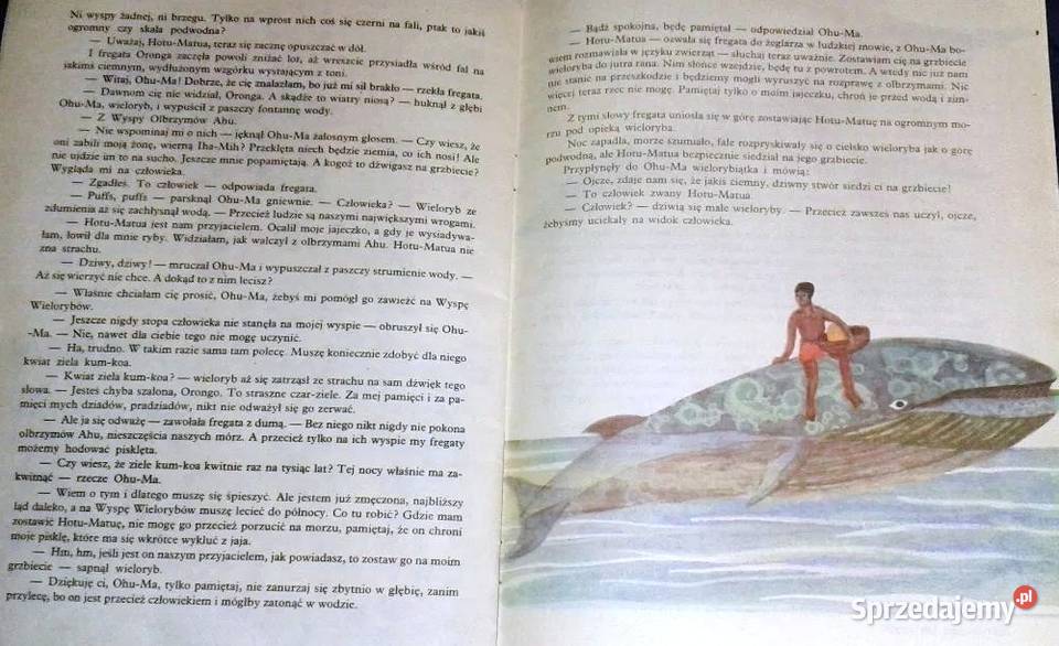 Ranira ze Słonego Jeziora W Markowska A Milska Chełm