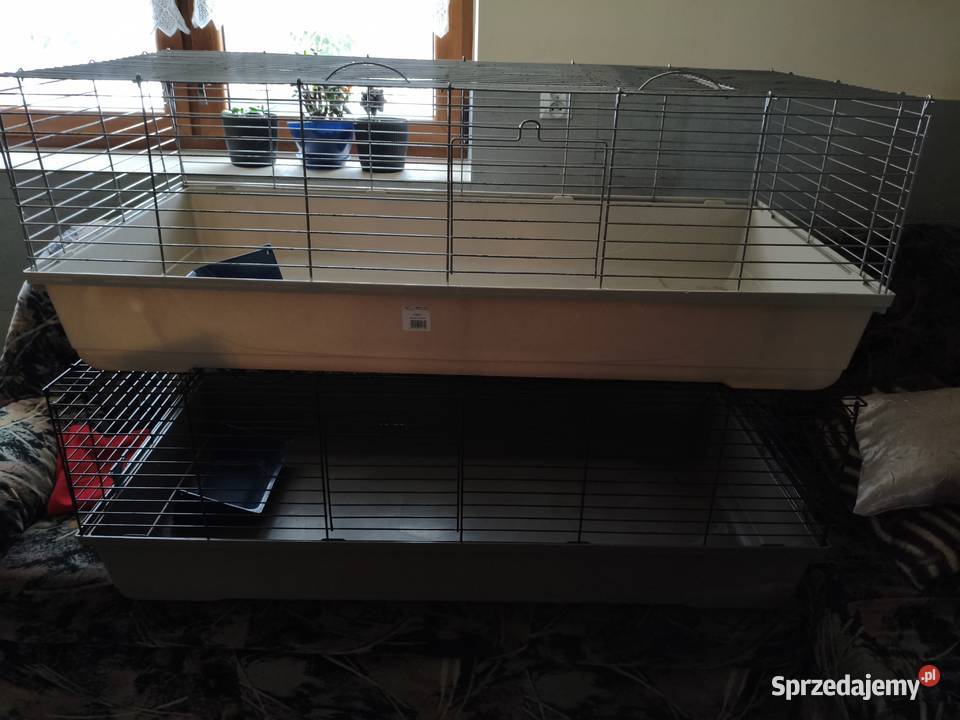 2x Klatka 120 królika świnki morskiej MPS Baldo świętokrzyskie Mirzec