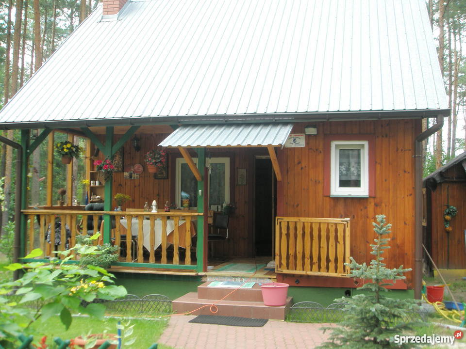 Piękna działka leśna z domkiem całorocznym 30m mazowieckie