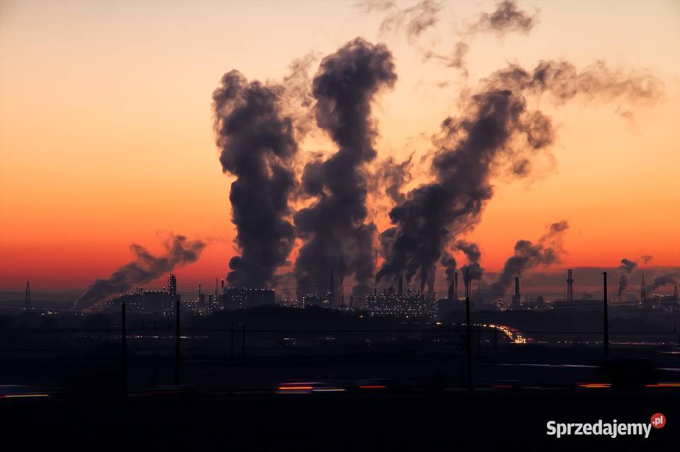 Raport Kobize Wieliczka Łaziska Górne Koło