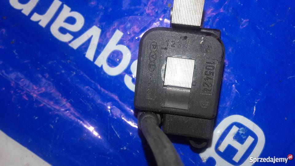 cewka zapłonowa Leśnictwo śląskie Żywiec