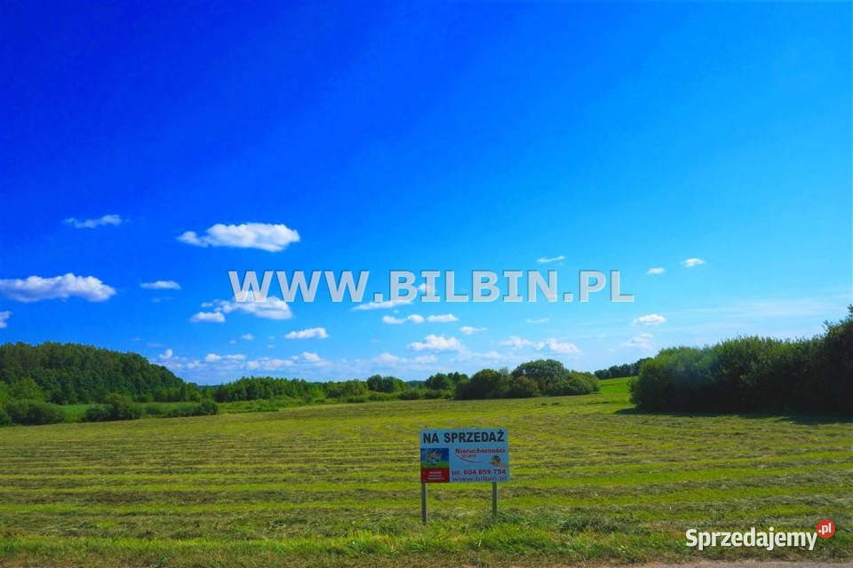 Działka 4705m2 Stankuny 4705m2 Sprzedaż sprzedam