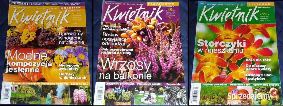 Kwietnik magazyn ogrodniczy Chełm sprzedam