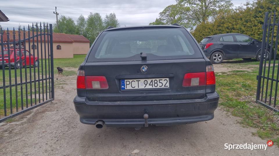 bmw e39 Sarbinowo
