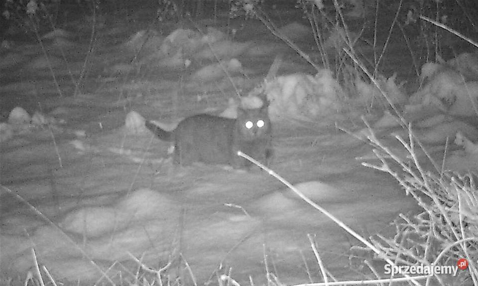 Monokular Noktowizor night vision cyfrowy NH3