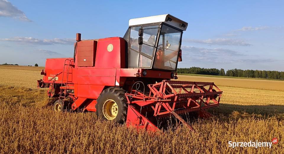 Sprzeda Bizon ZO56 Siucice