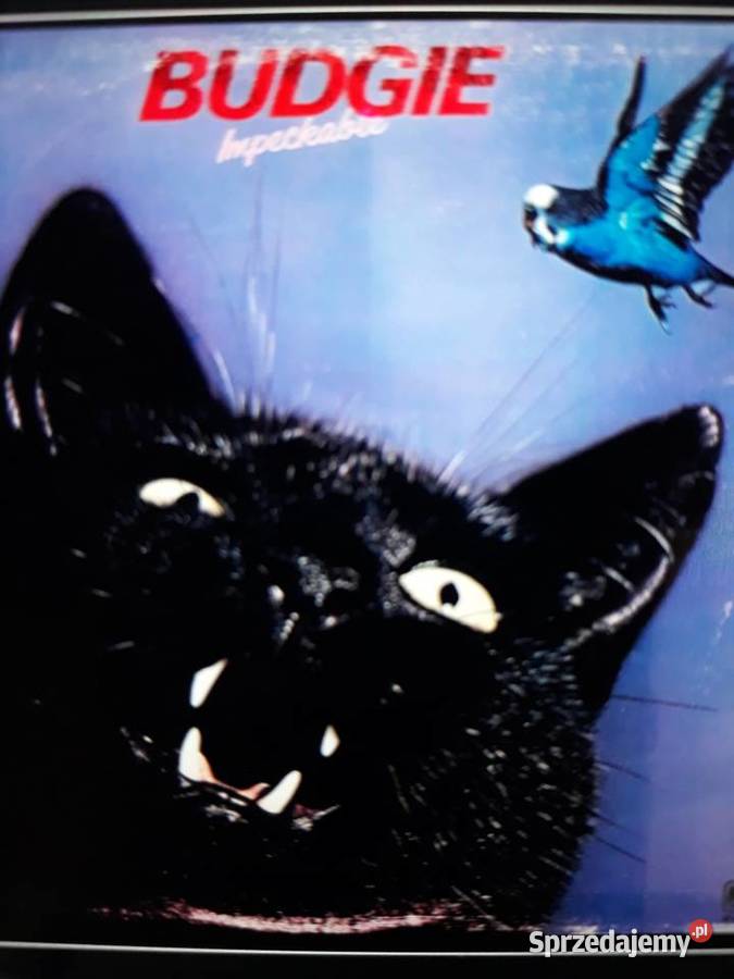 Klasyka hard rocka BUDGIE Impeckable 1978 Rzeszów