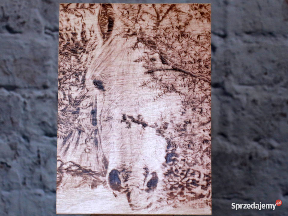 Głowa konia Grafika wypalona w drewnie Jasienica Rosielna