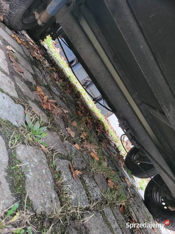 Przyczepa do przewozu zwierząt 2T Wieleń sprzedam