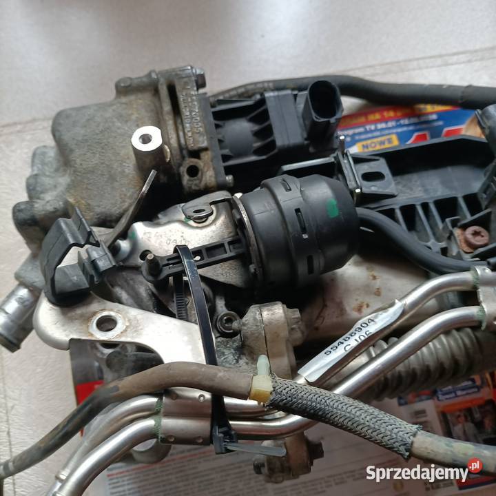 Chłodnica erg z gruszka do Opla Astry k Opole