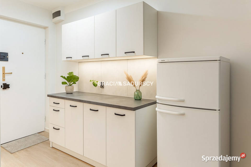 sprzedaży mieszkania Kraków Elsnera 2424m2 1