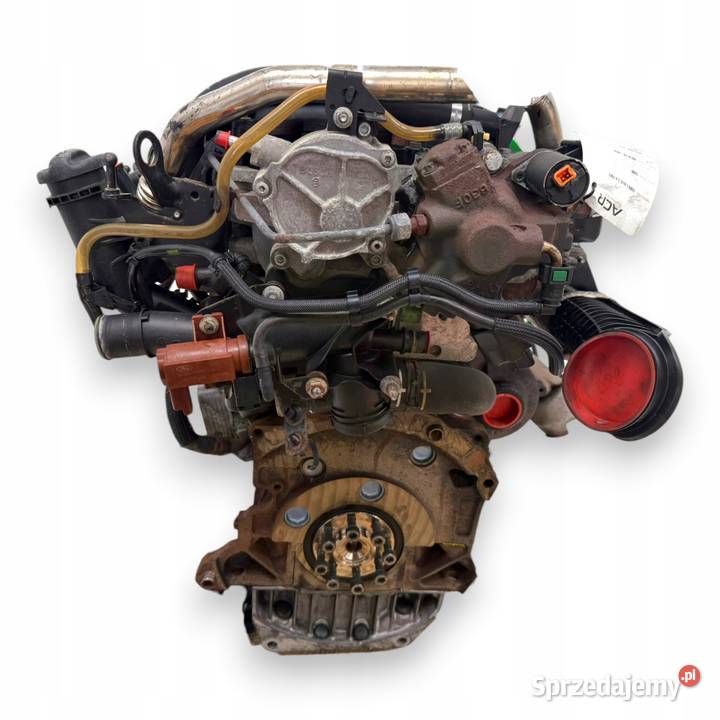 SILNIK G6DD Ford C C Focus MK2 20 TDCI 136 lubelskie Chełm sprzedam