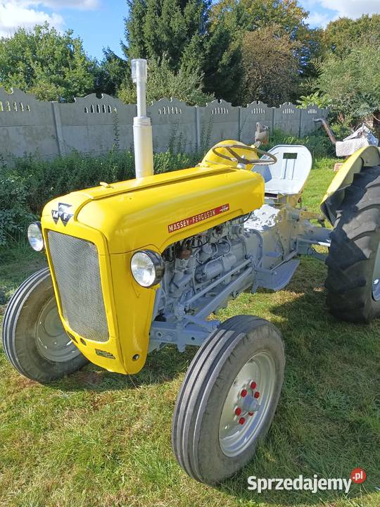 Massey Ferguson 35 benzyna Ferguson
