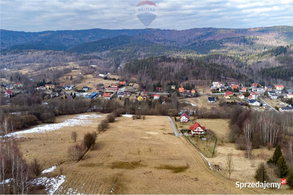 Działka budowlana 30 arów terenów leśnych Las