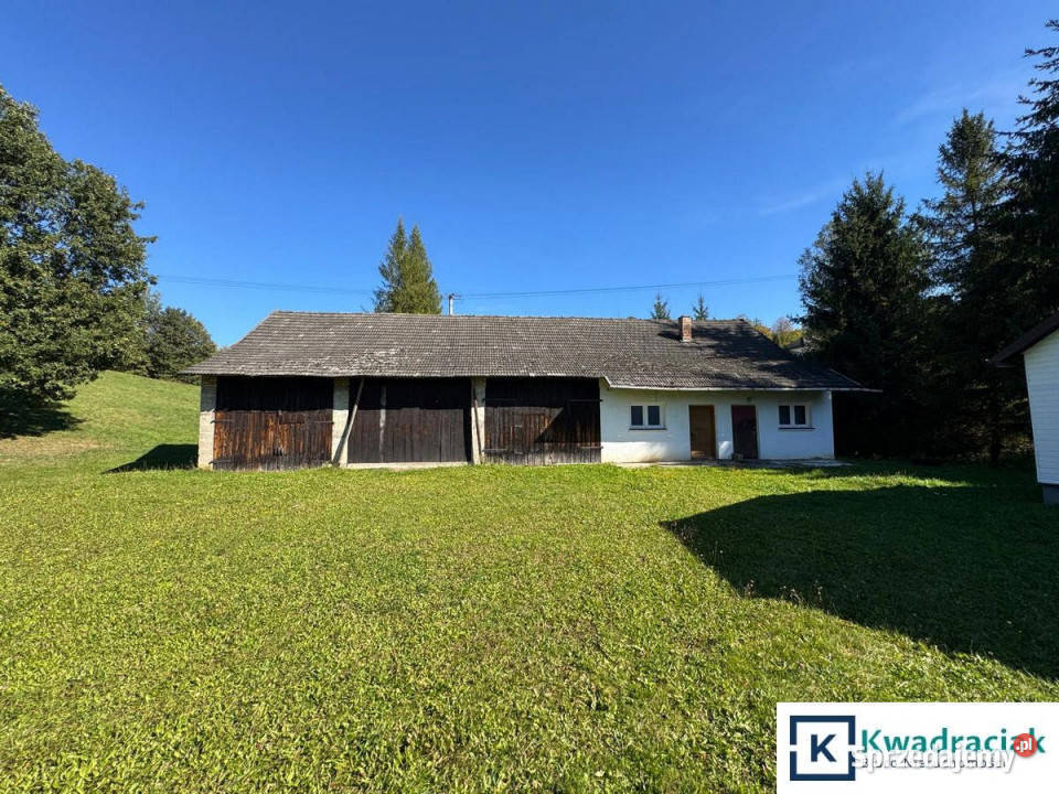 Działka 39400m2 Święcany 39400m2