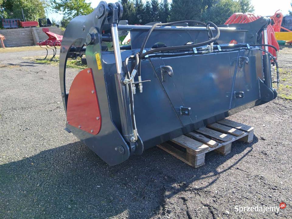 Łycho Krokodyl ząb palony