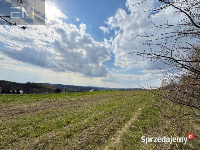 Grunt 4700m2 Gwoźnica Górna sprzedam