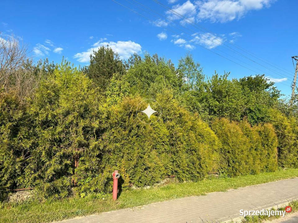 Działka Siedliskowa w Ruskowie 2791m2 budowlana Rusków