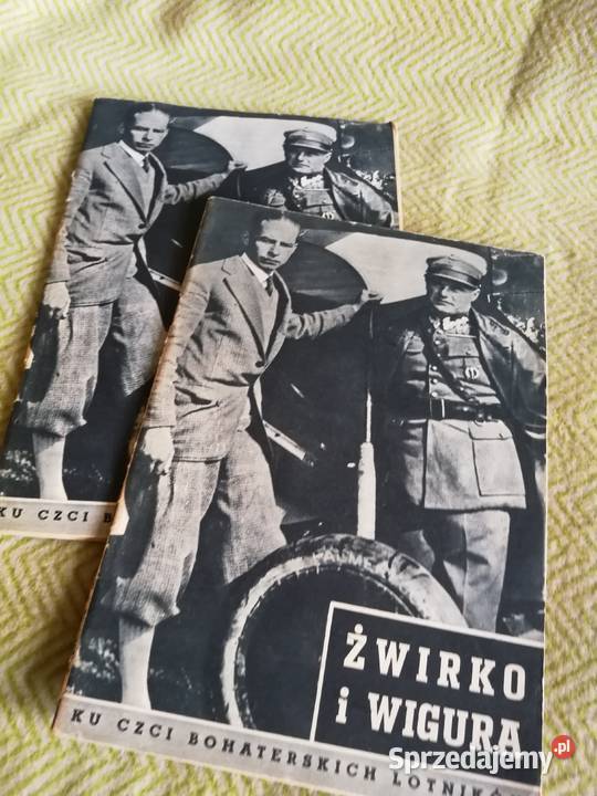 Książka Żwirko i Wigura Ku czci bohaterskich